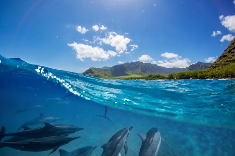 Les îles Cerbicale