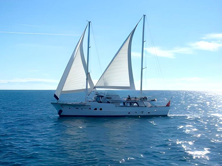 Witsen Vis Dutch motorsailer yacht Columbus for sale